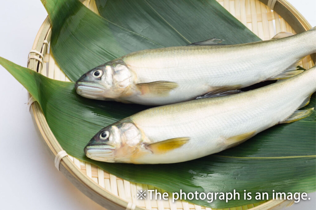 Sweetfish pickled in sake lees